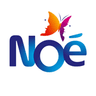 Noé
